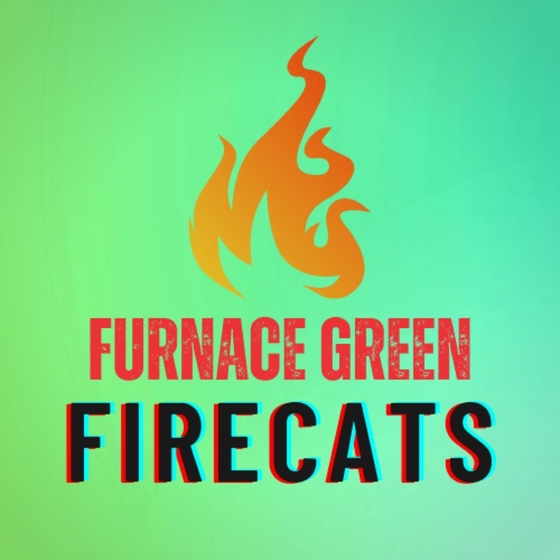 logo image thumbnail for team Furnace Green Firecats
