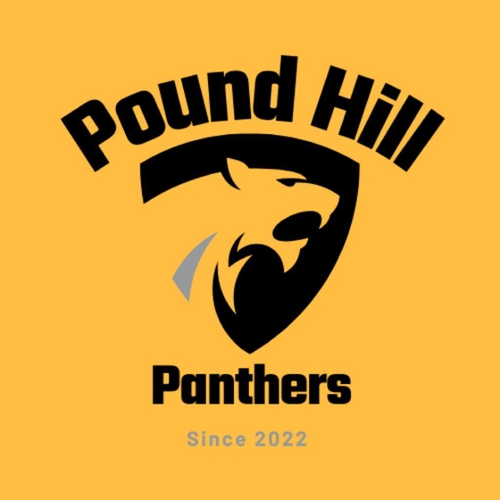 logo image thumbnail for team Pound Hill Panthers