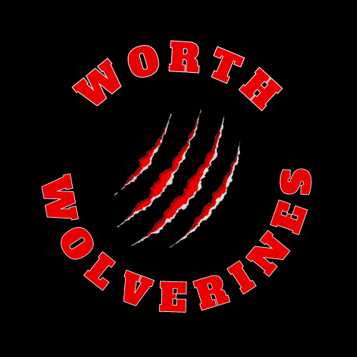 logo image thumbnail for team Worth Wolverines